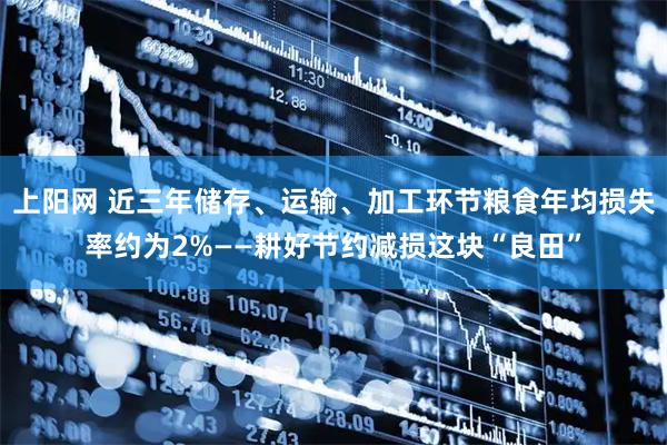 上阳网 近三年储存、运输、加工环节粮食年均损失率约为2%——耕好节约减损这块“良田”