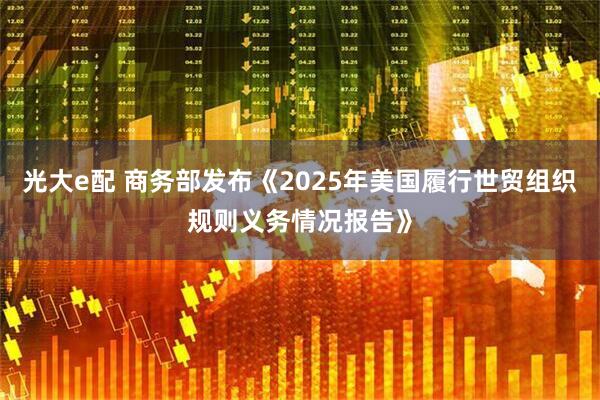 光大e配 商务部发布《2025年美国履行世贸组织规则义务情况报告》